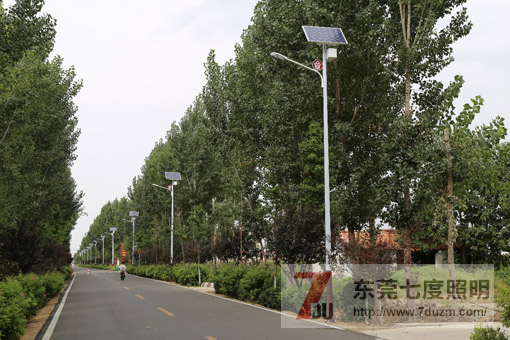 農(nóng)村道路照明太陽能路燈安裝實景圖