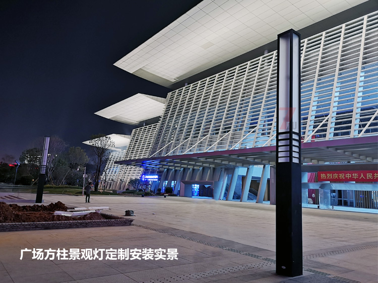 東莞市民服務(wù)中心廣場(chǎng)中軸定制景觀燈安裝實(shí)拍效果