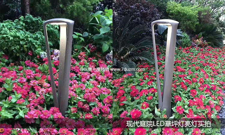 80cm高現(xiàn)代簡約LED草坪燈安裝亮燈實拍圖片