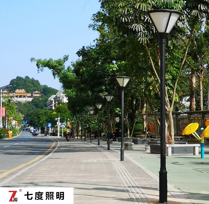 簡(jiǎn)約單頭3米30W街道庭院燈安裝實(shí)景